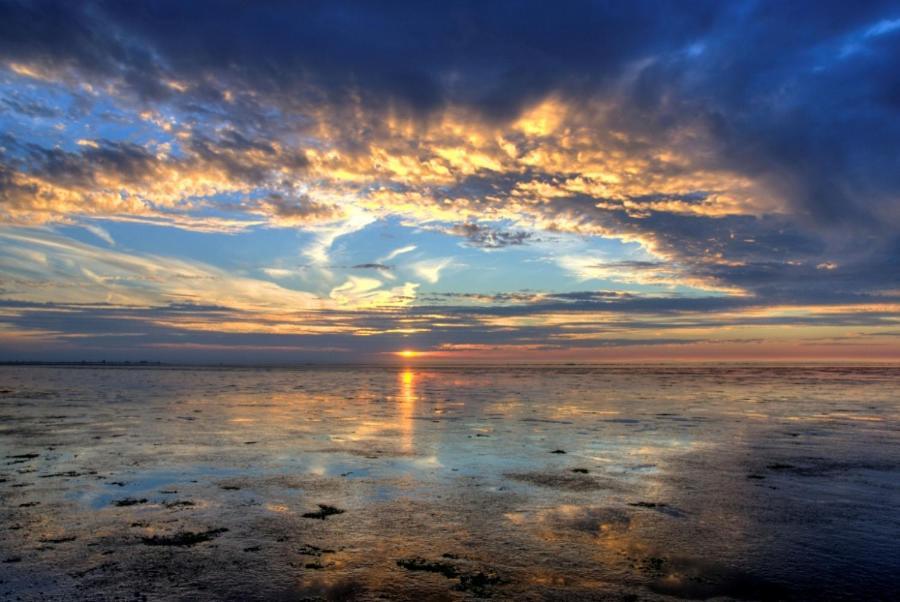 Camping Wad Noch Meer Anna Paulowna Exterior foto